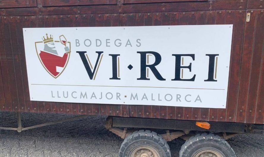 Cata de vinos en Mallorca – Visita Bodegas Vi Rei