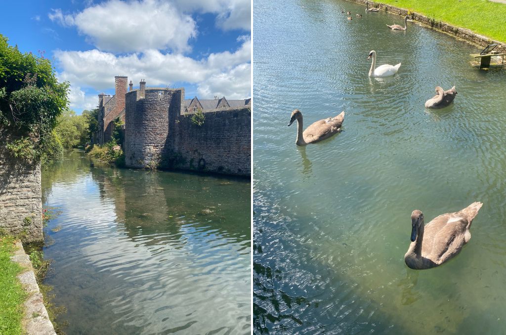 qué ver en wells en un día jardines 